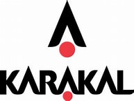 Karakal